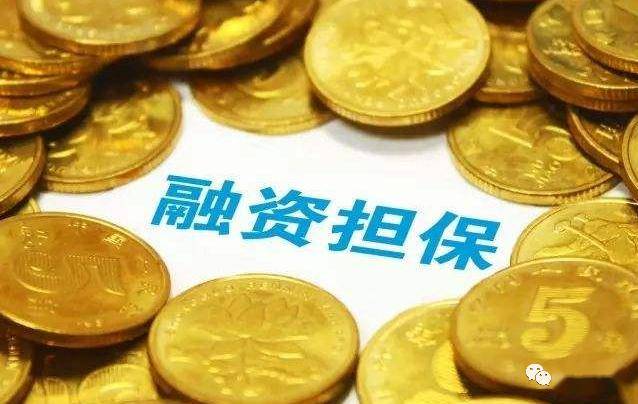 非注冊_融資公司和非融資公司