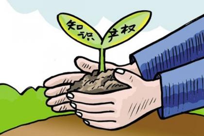 _國家知識產權戰(zhàn)略與知識產權保護