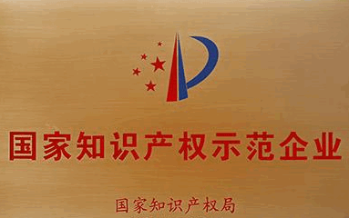 知識產(chǎn)權產(chǎn)業(yè)_國家知識產(chǎn)權戰(zhàn)略與知識產(chǎn)權保護